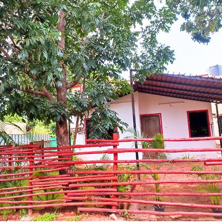 Golden Magnolia Homestay بنغالور المظهر الخارجي الصورة